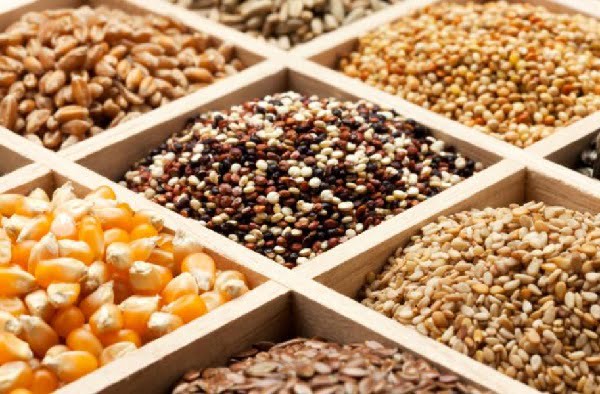 Правила хранения зерновых культур