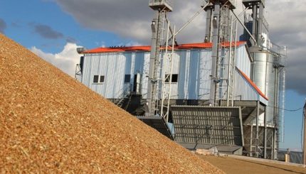 В чем хранить зерно?